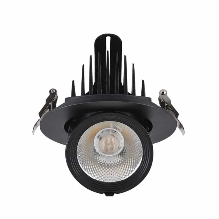 Downlight LED nero cardanico