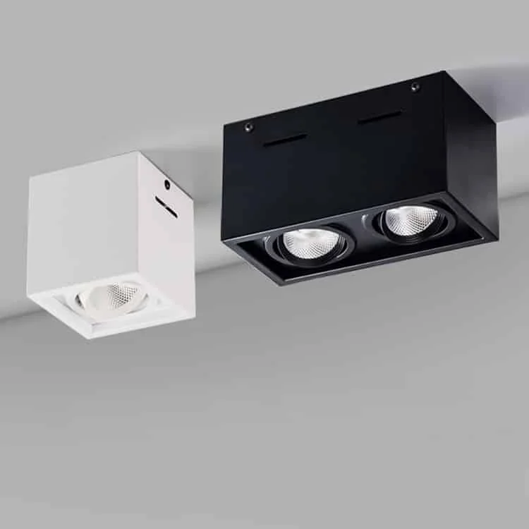 Downlight da superficie con uno o due faretti orientabili