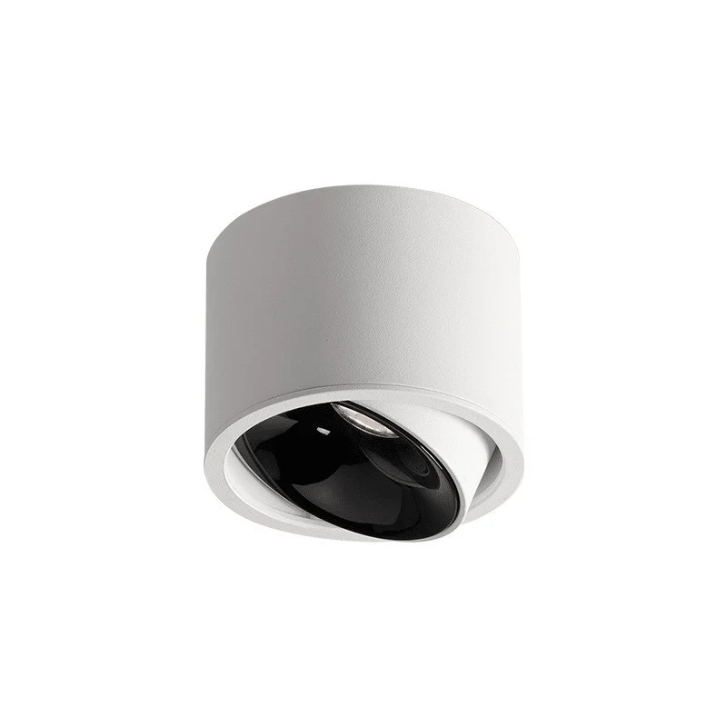 Faretti orientabili a plafone