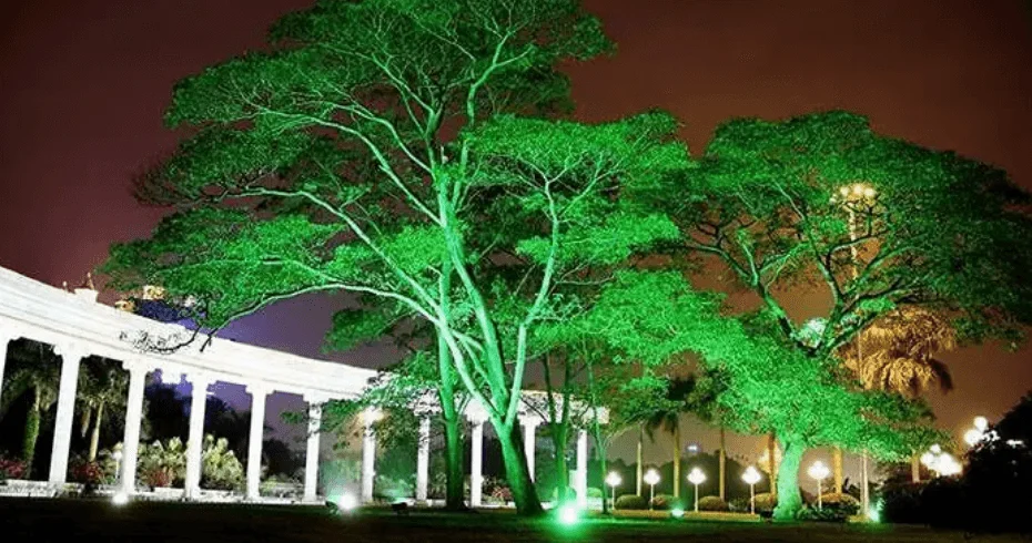 Proiettori LED per alberi